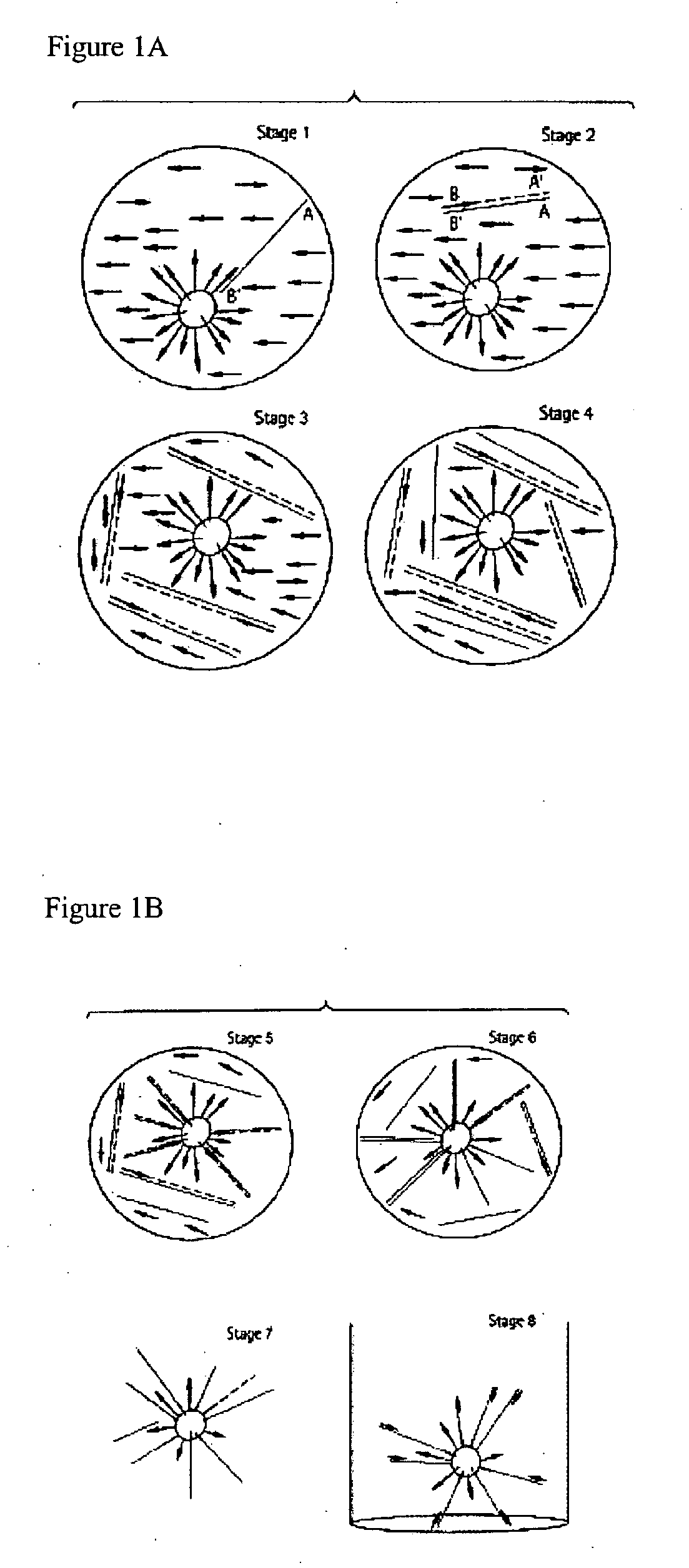 System and method for detection of HIV drug resistant variants