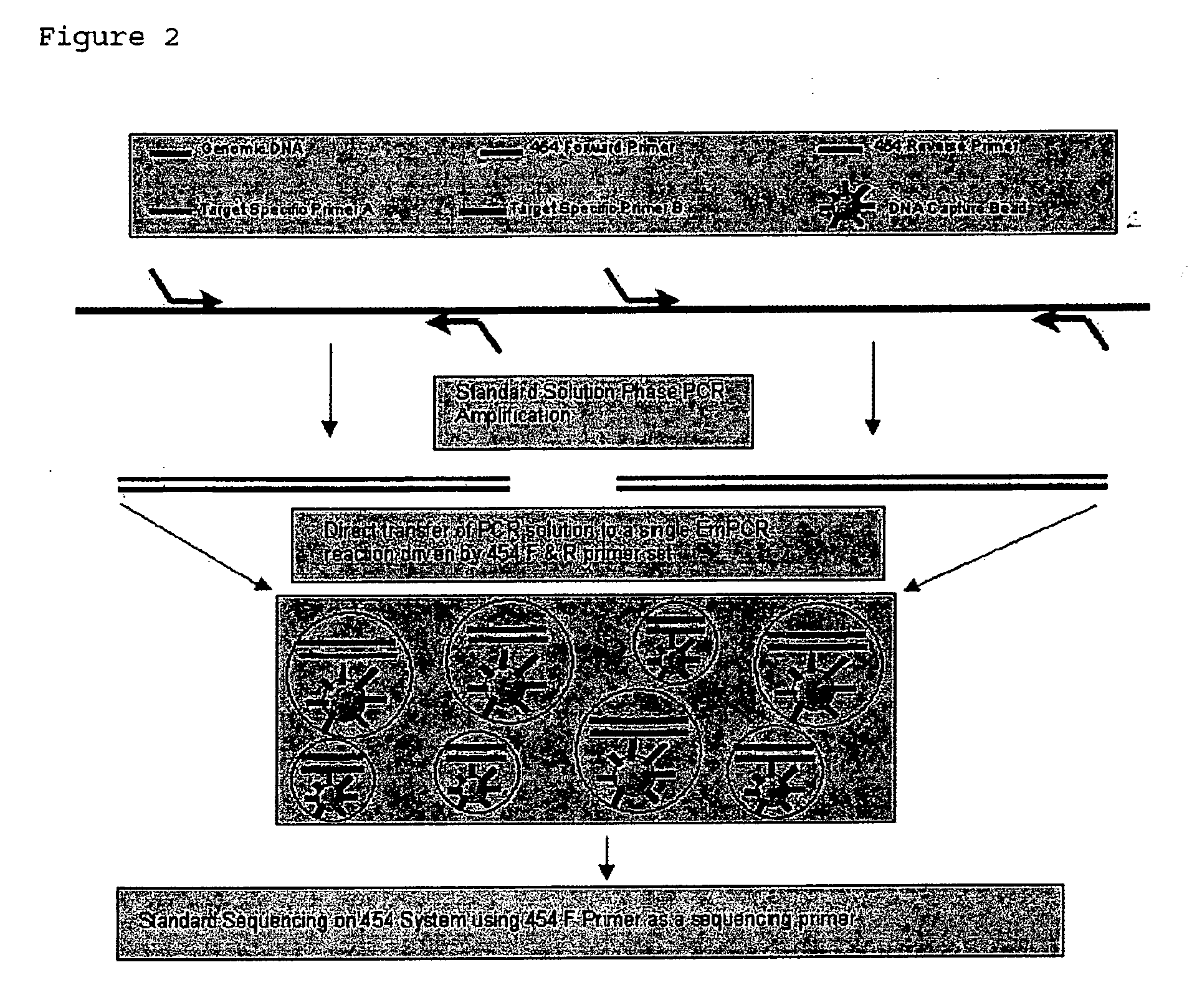 System and method for detection of HIV drug resistant variants