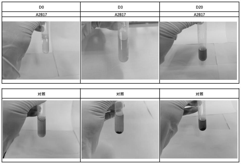 dab chromogenic kit for immunohistochemical detection and its application