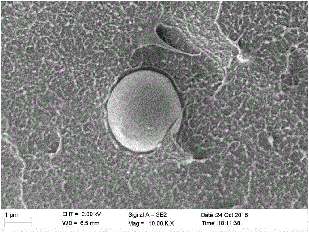 Preparation method for cable insulating material capable of realizing self-repairing of early-stage electrical-tree defects