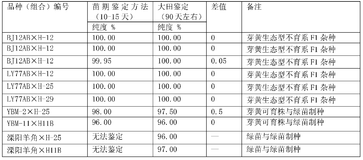 Selective breeding and propagating method of ecological type sterile line of yellow-sprout capsicum