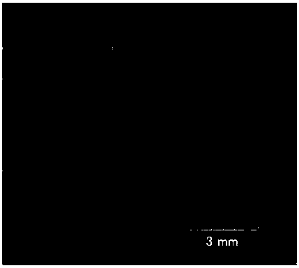 Electrolysis milling-grinding efficient rough and fine machining integrated machining method