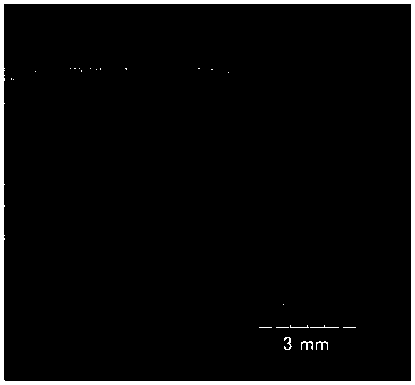 Electrolysis milling-grinding efficient rough and fine machining integrated machining method