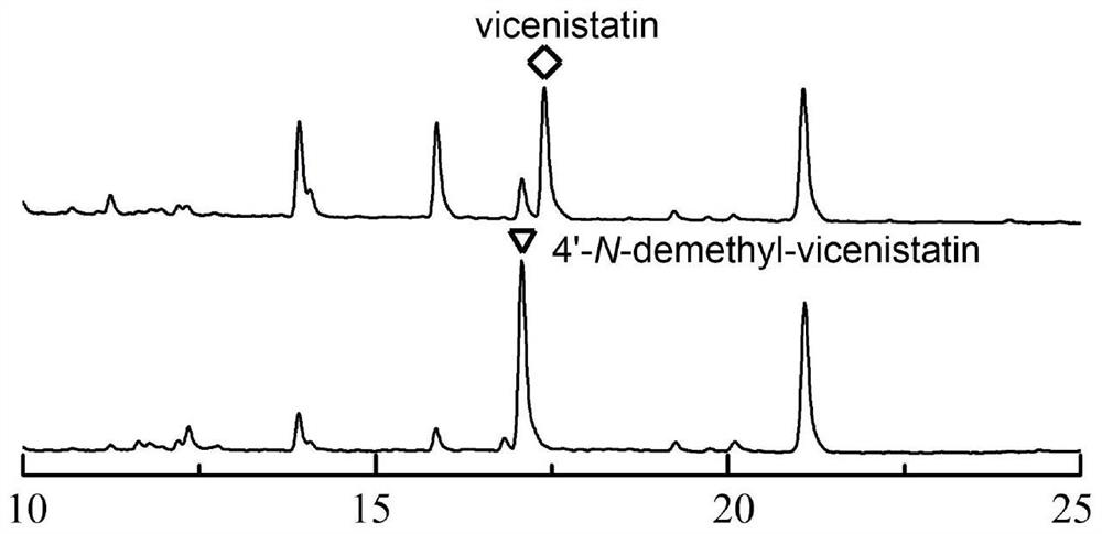 4'-N-demethyl-vicenistatin as well as preparation method and application thereof