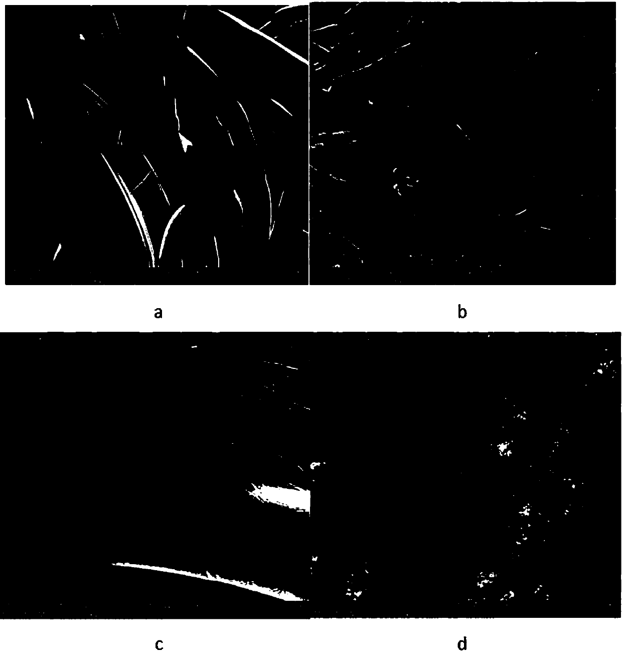 Preparation method of flexible fabric supercapacitor electrode material taking graphene/polypyrrole as active substance