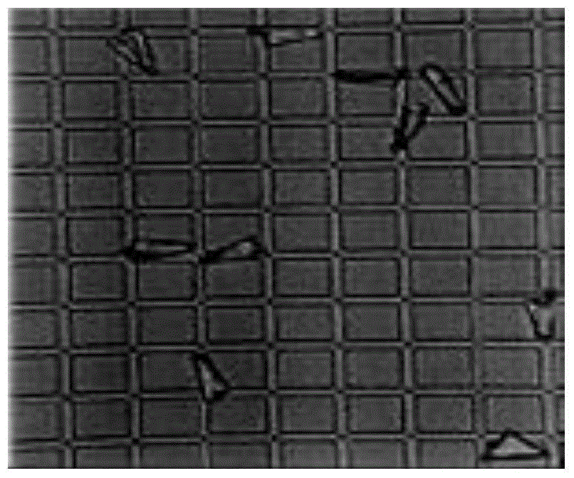 A method of degumming after high-energy ion implantation