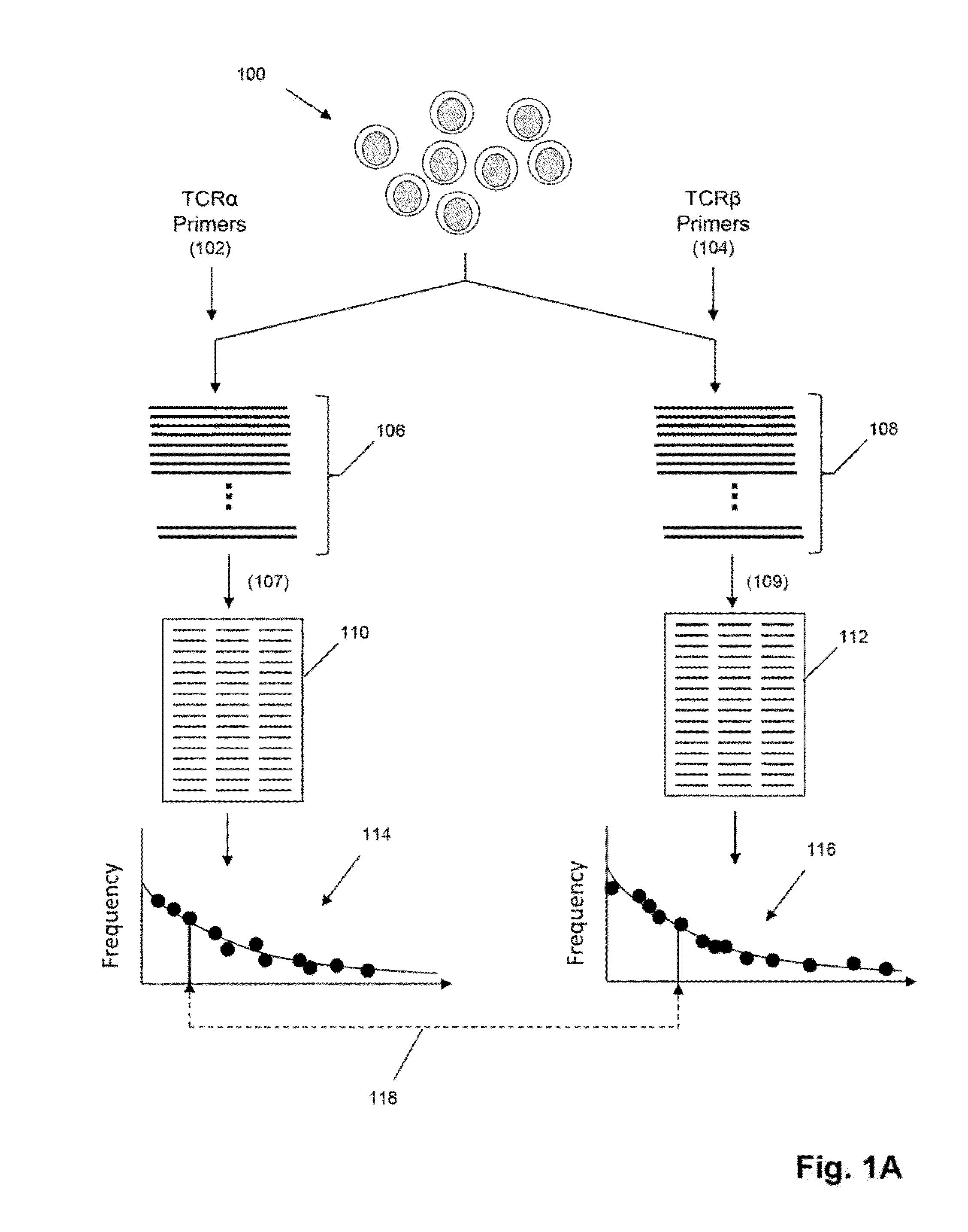 Determining antigen-specific t-cells