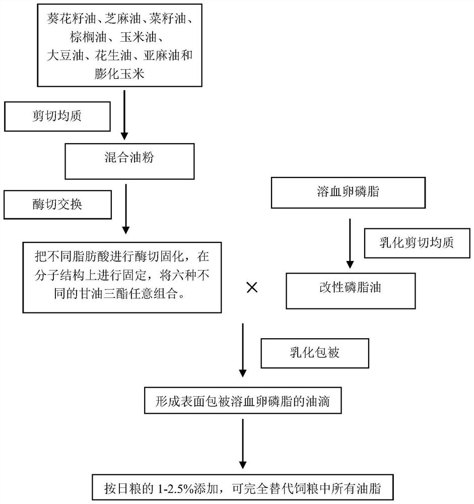 Oil powder composition for chicken feed as well as preparation method and application of oil powder composition