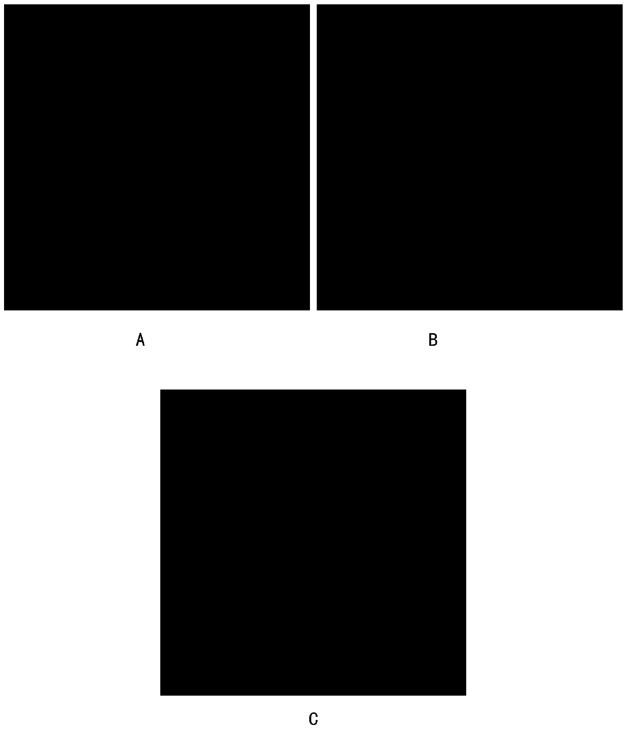 Decellularized nerve scaffold and preparation method thereof