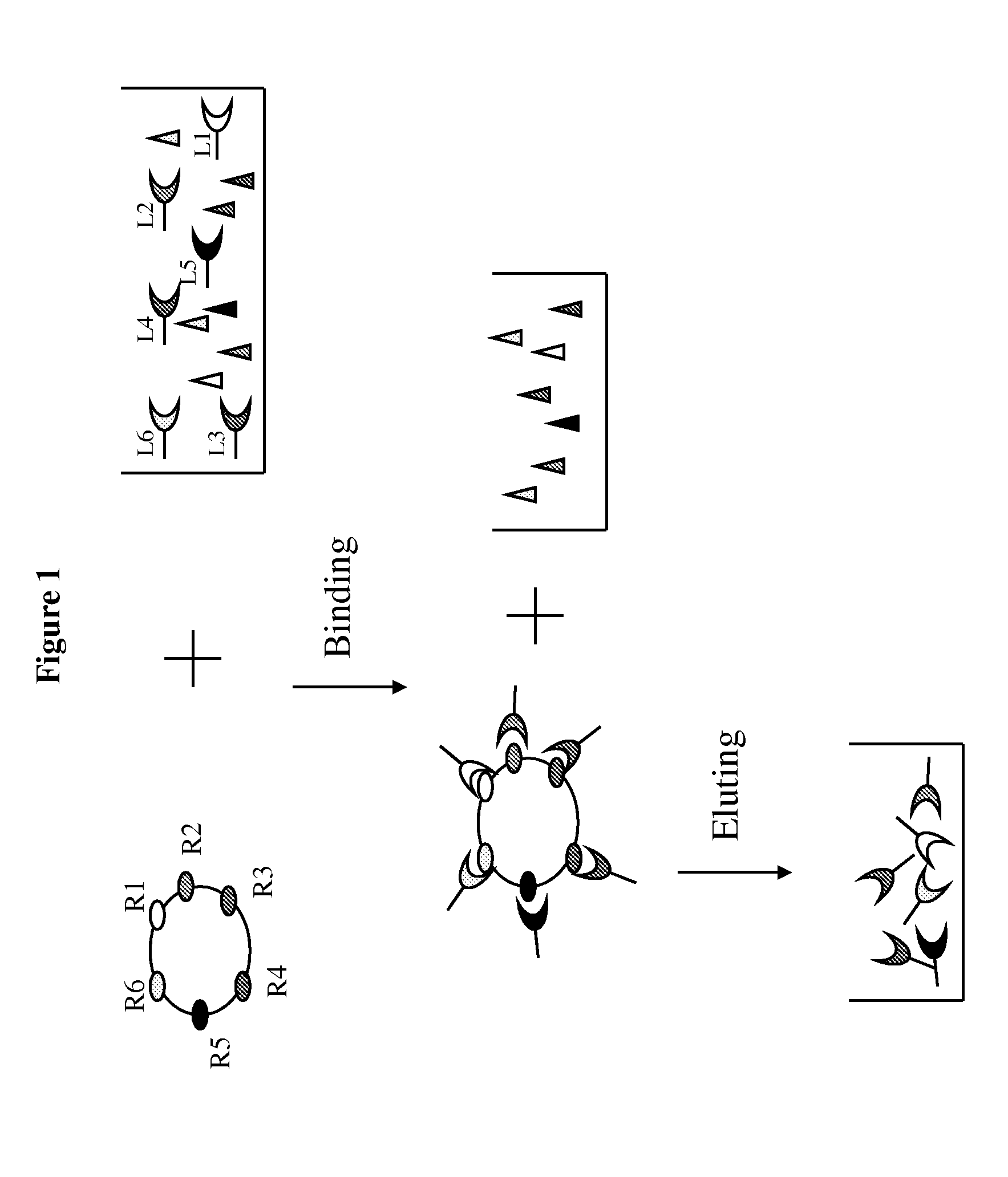 Method of selective protein enrichment and associated applications