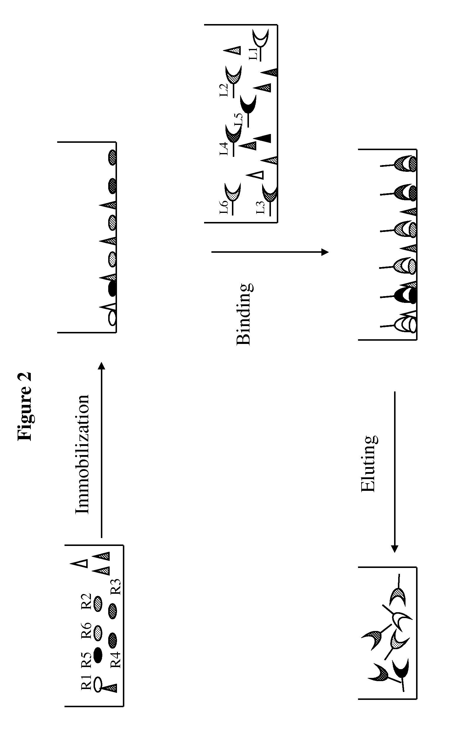 Method of selective protein enrichment and associated applications