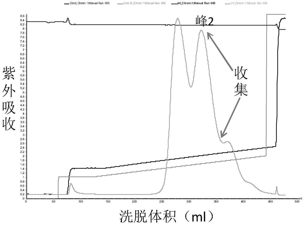 Preparation and application of pegylated kininogenase