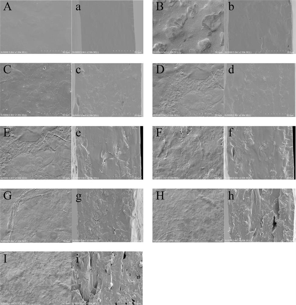 Preparation method of active packaging film using cellulose for controlled release