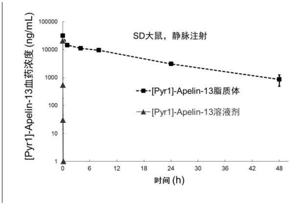 Apelin liposome and preparation method thereof