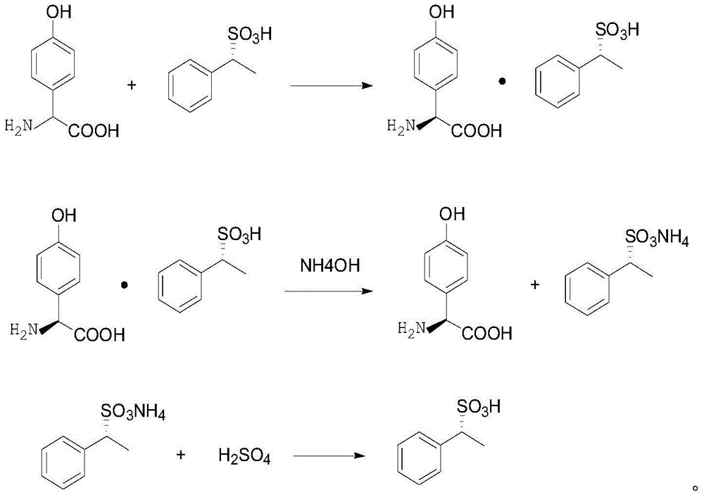 Synthetic method for p-hydroxyphenyl glycine