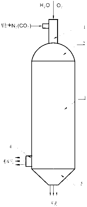 Dry pulverized coal cyclone entrained flow bed gasification furnace and gasification method thereof