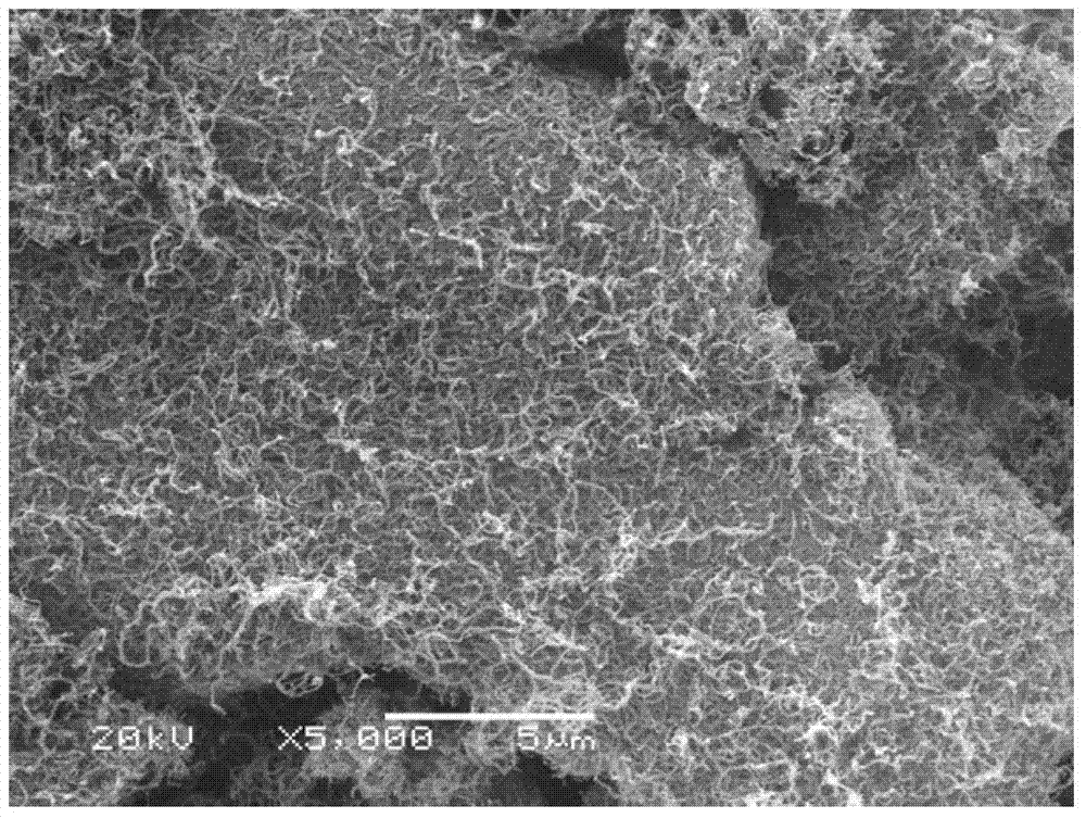 Sulfur/porous carbon-coated carbon nano tube compound positive material for lithium-sulfur battery and preparation method thereof