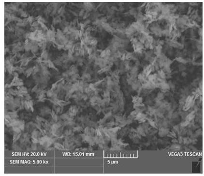 Preparation method for iron phosphate nanosheets