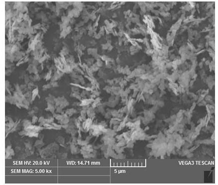 Preparation method for iron phosphate nanosheets