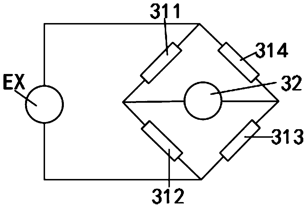 Flexible module structure and display device