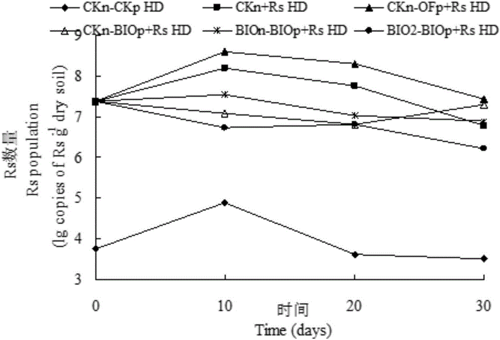 Bacterial-wilt-resistant Streptomyces rochei strain and bio-organic fertilizer thereof