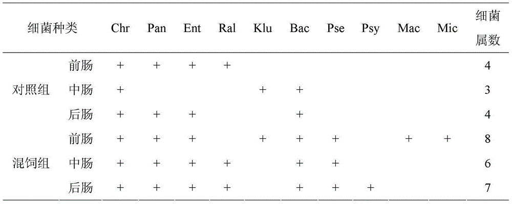 Chinese herbal medicine immunopotentiator for oncorhynchus masou masou and application thereof