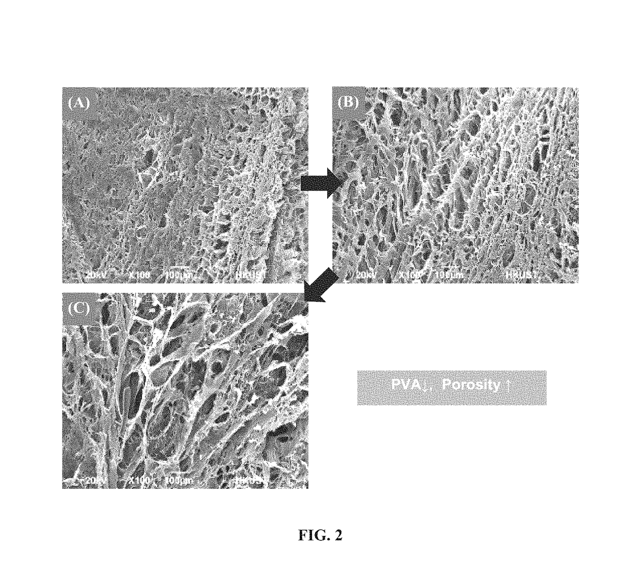 Chitosan based high performance filter with self-regenerating ability