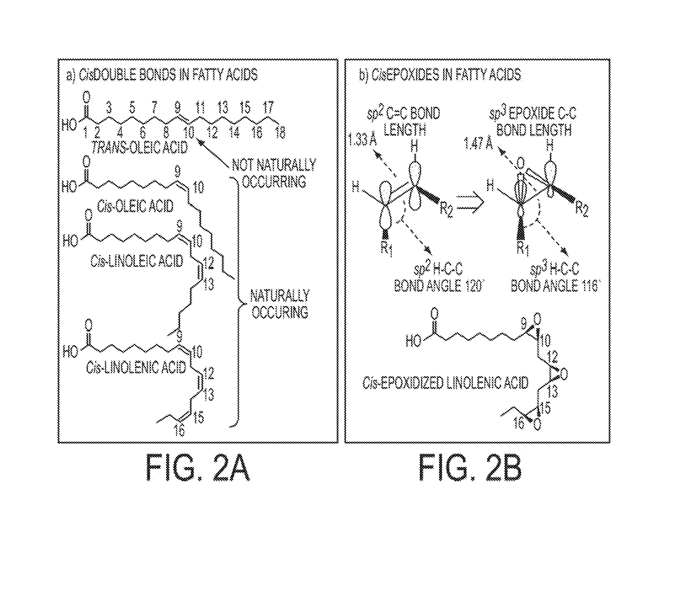 Highly functional epoxidized resins and coatings