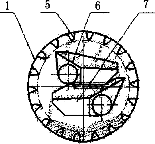 Continuous production device of slow-release or control-release fertilizer