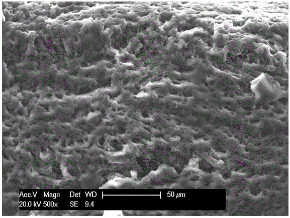 Cellulose-based phenolic compound molecularly-imprinted adsorbing agent and preparation method thereof