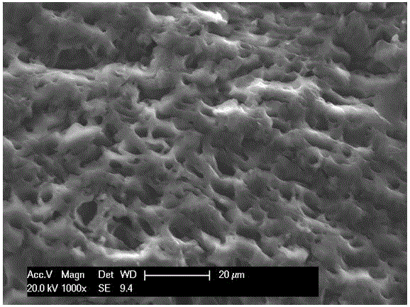 Cellulose-based phenolic compound molecularly-imprinted adsorbing agent and preparation method thereof