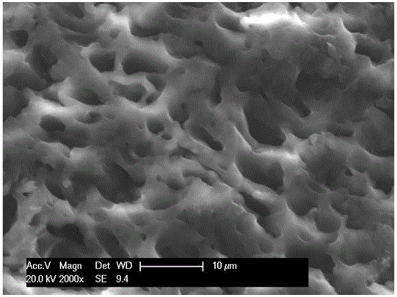 Cellulose-based phenolic compound molecularly-imprinted adsorbing agent and preparation method thereof