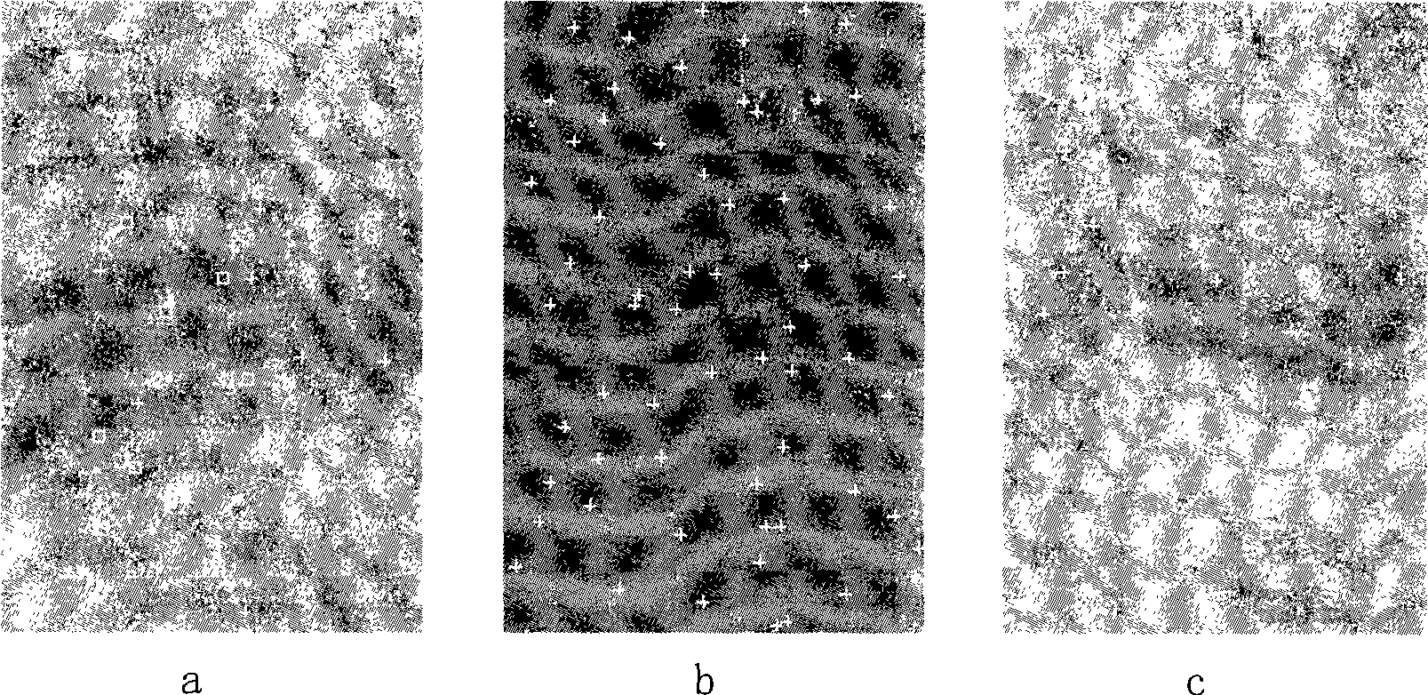 POS auxiliary aviation image matching method