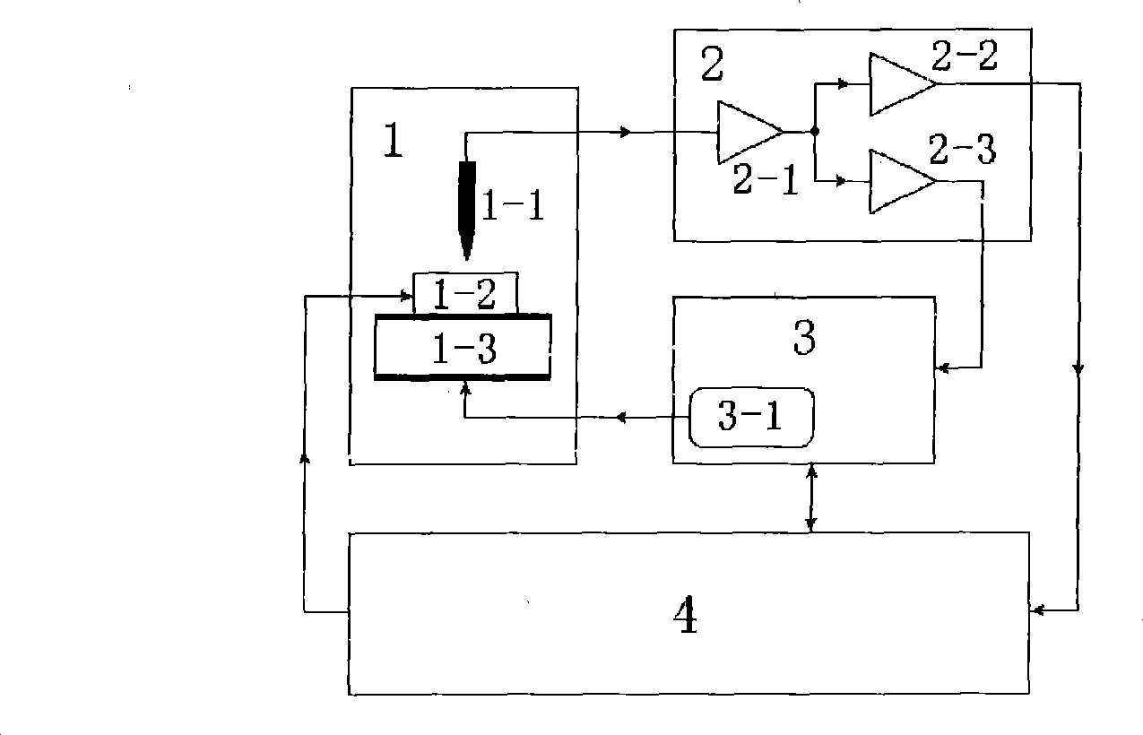 Scanning-tunnelling microscope for vibrating example and measurement method thereof