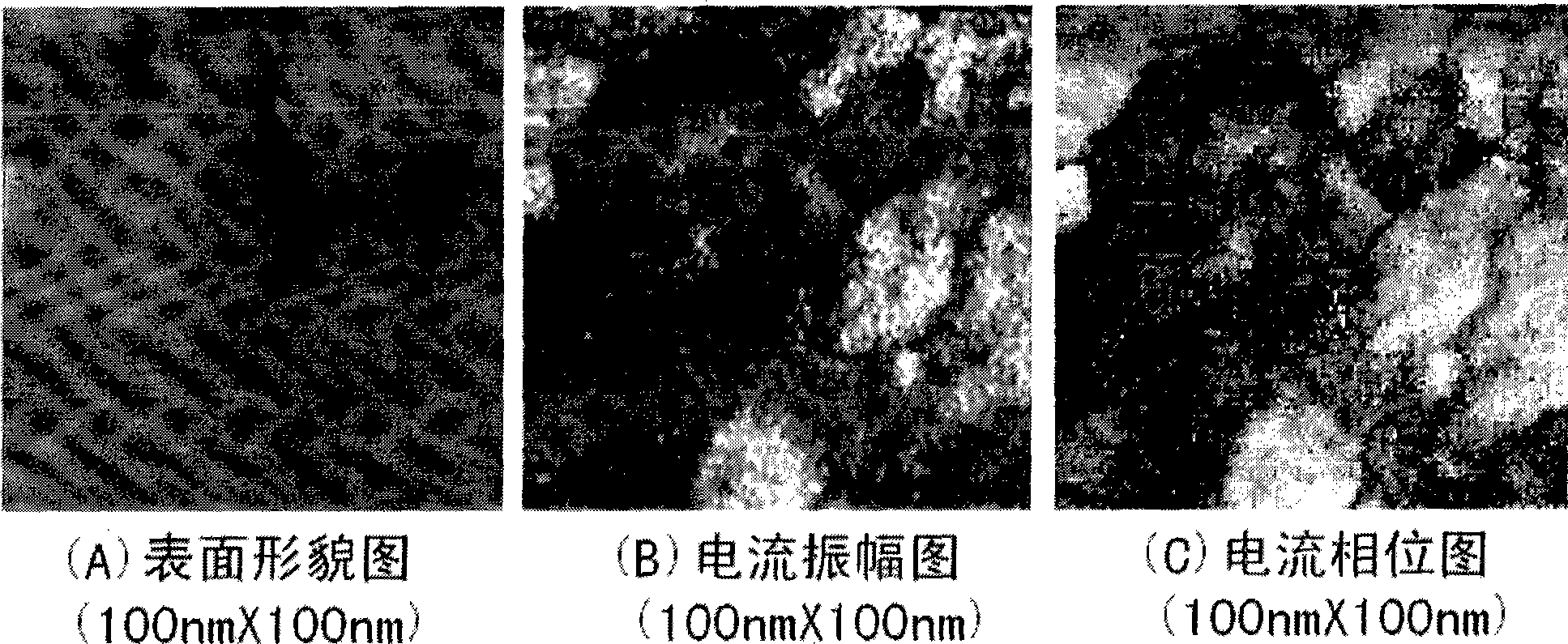 Scanning-tunnelling microscope for vibrating example and measurement method thereof