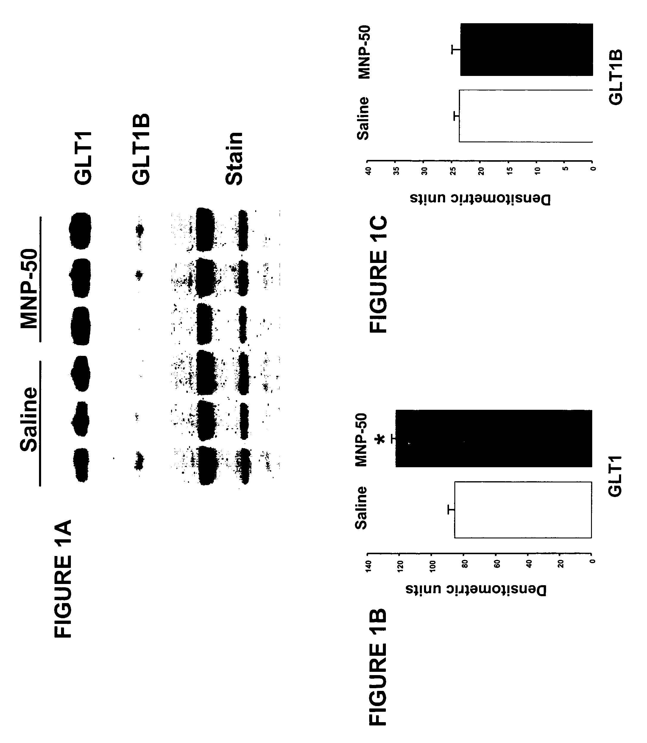 Prevention and treatment of cognitive impairment using (R)-(-)-5-methyl-1-nicotynoyl-2-pyrazoline (MNP) and analogs