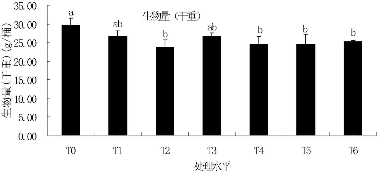 Method for remedying Cd contaminated water and wetland with aster subulatus