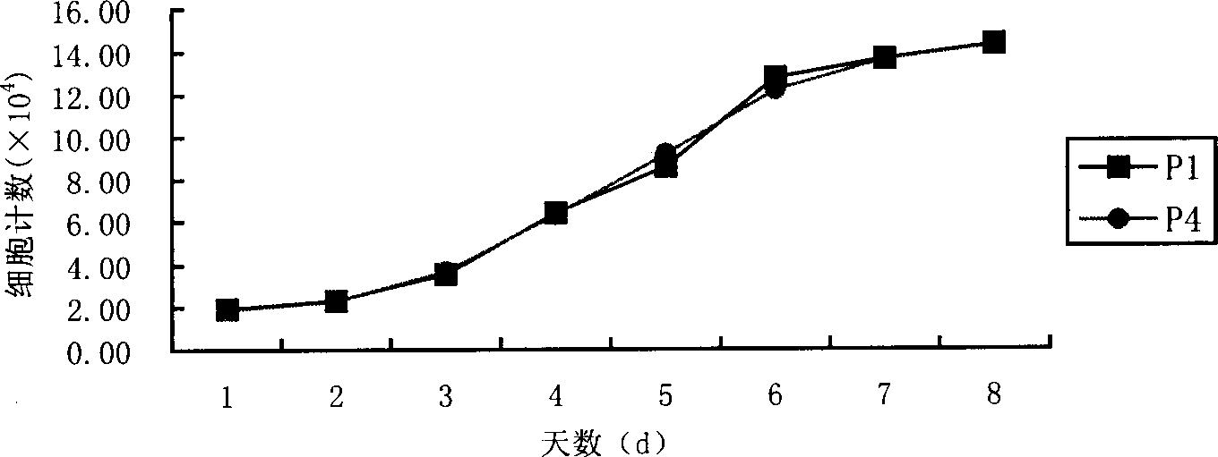 Anti-human marrow mesenchyma stem cell monoclonal antibody ZUC3 and its uses