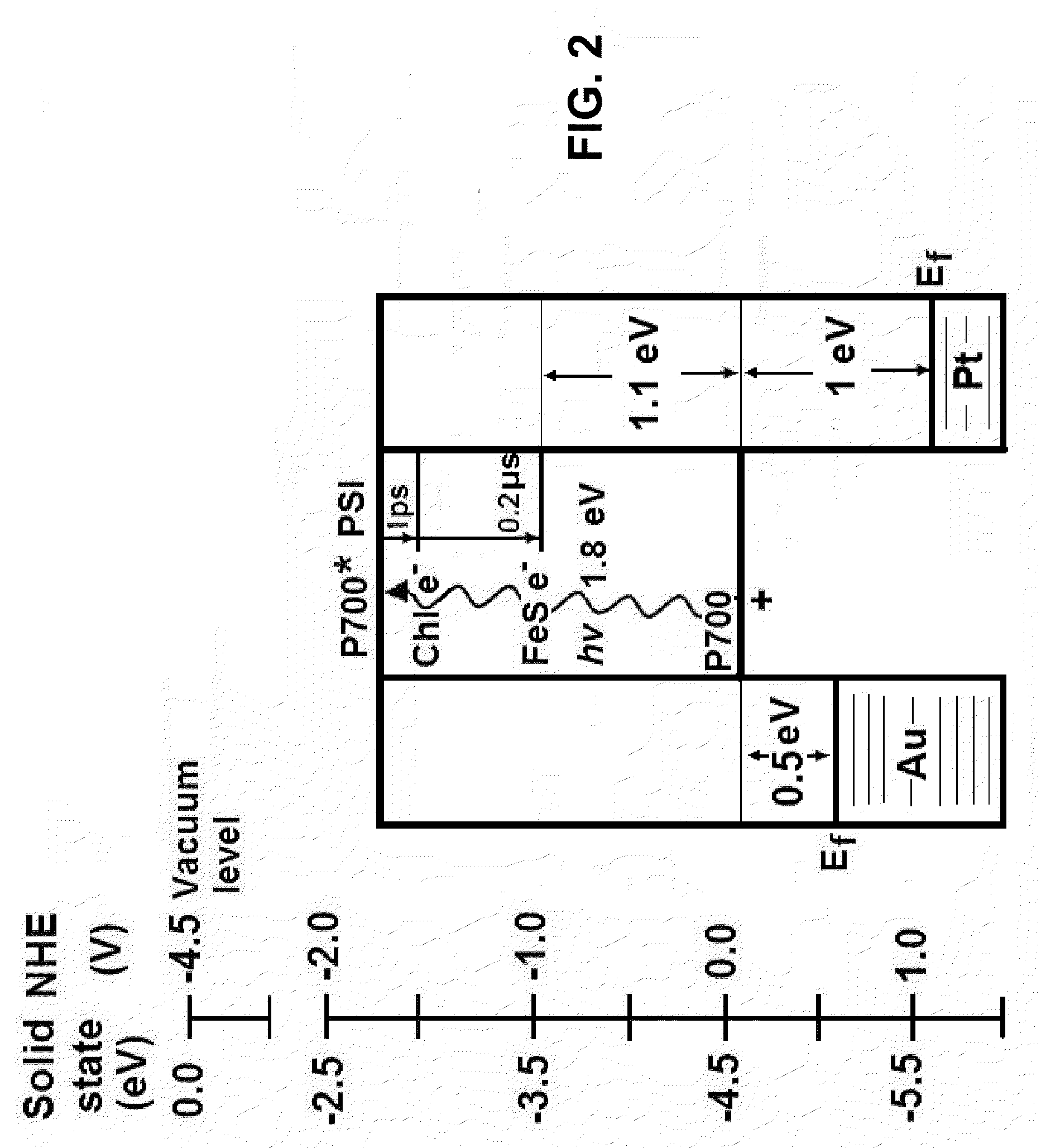 Photoactive nanostructure and method of manufacturing same