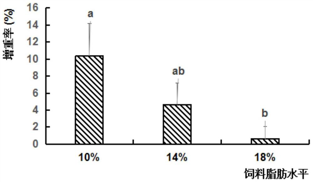 A kind of artificial compound feed for gonad development of broodstock Chinese sturgeon and its preparation method and application