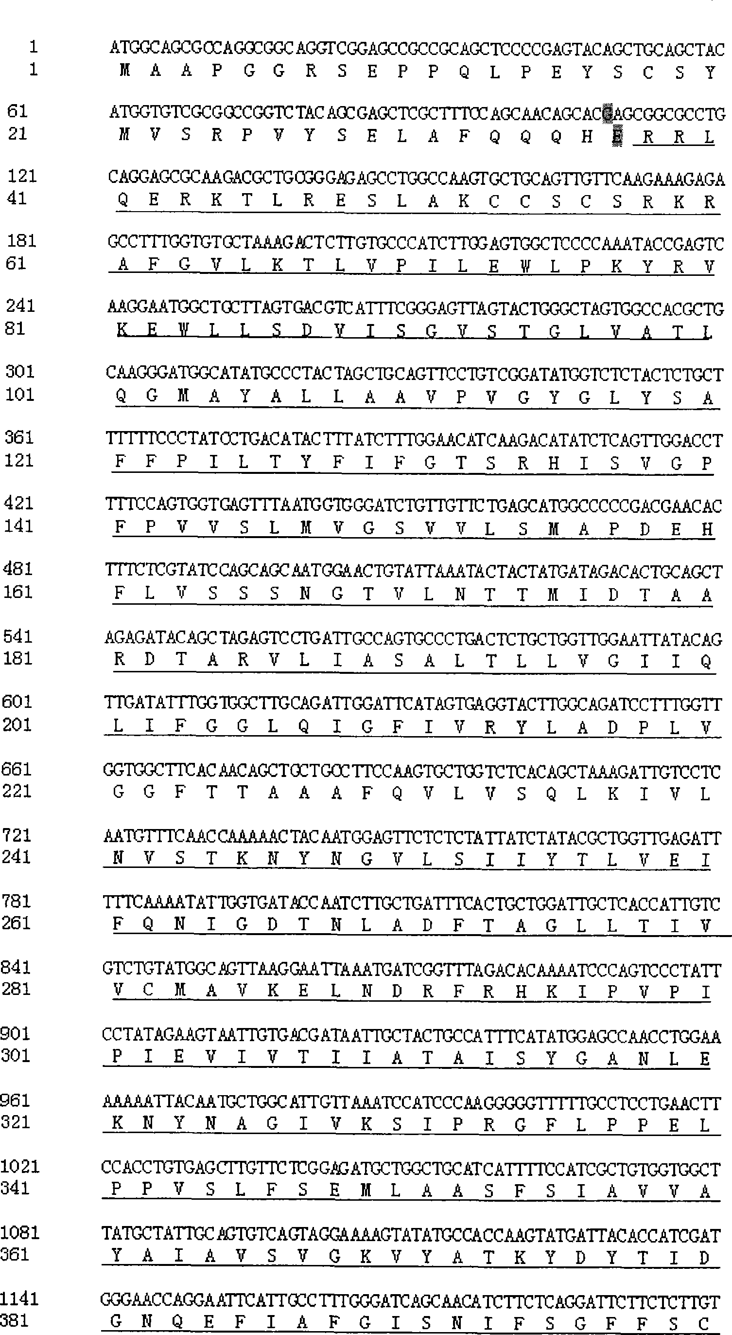 Kit for detecting 227C&gt;T mutation of vestibule water conduit enlargement interrelated gene SLC26A4