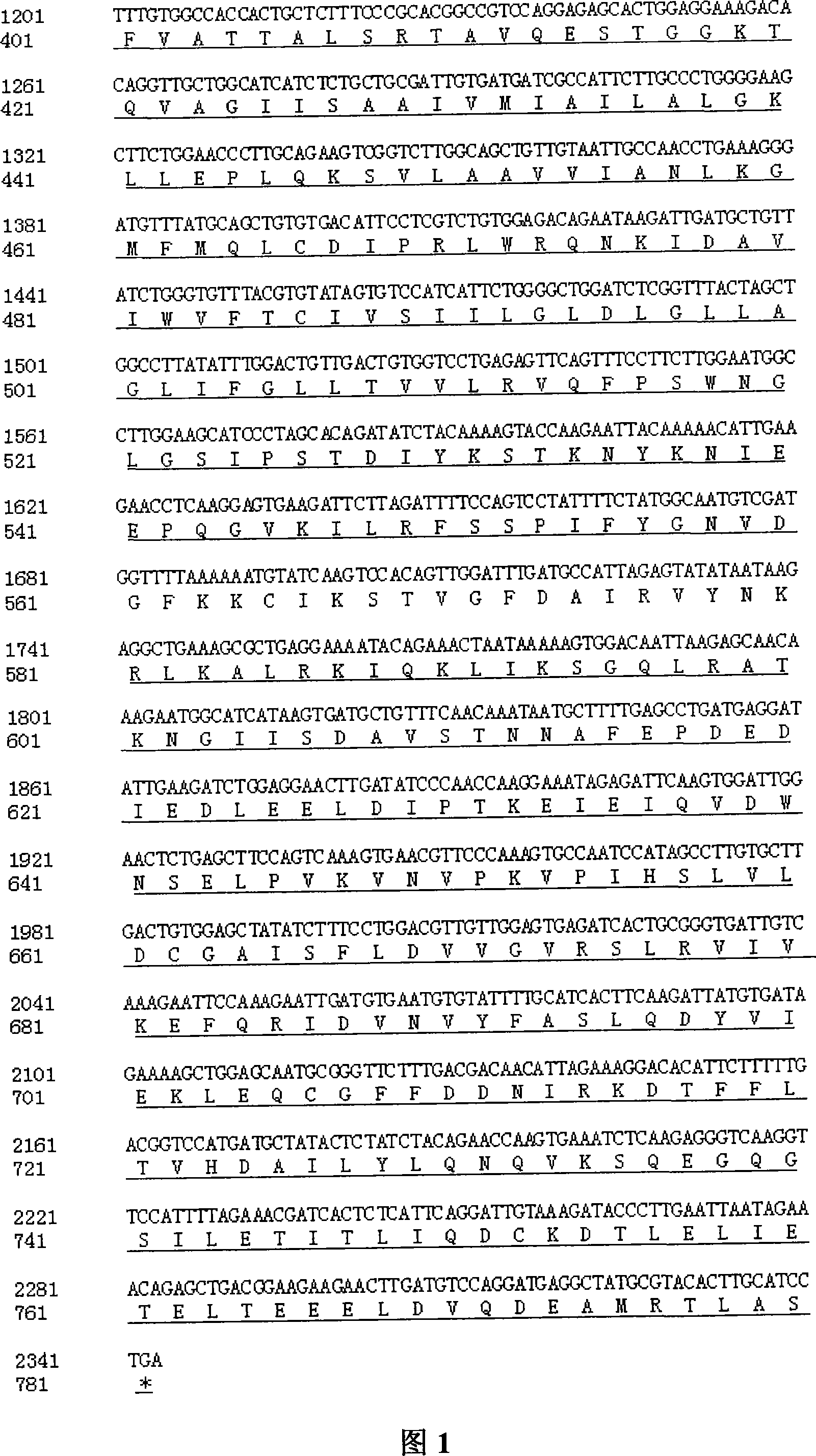 Kit for detecting 227C&gt;T mutation of vestibule water conduit enlargement interrelated gene SLC26A4