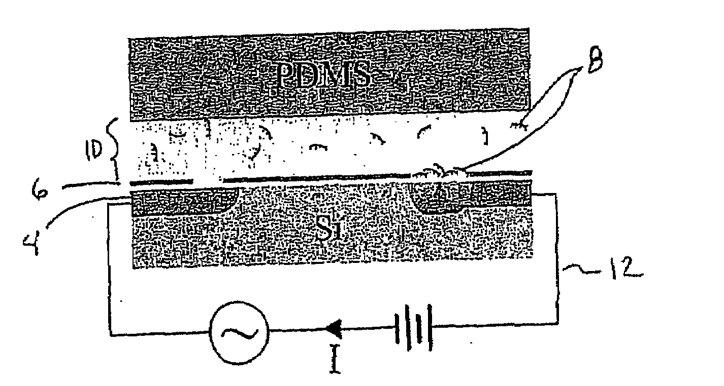 Method and apparatus for label-free electronic real-time double-stranded nucleic acid detection