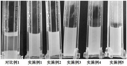 High stability mango coconut milk beverage containing fruit particles and preparation method thereof