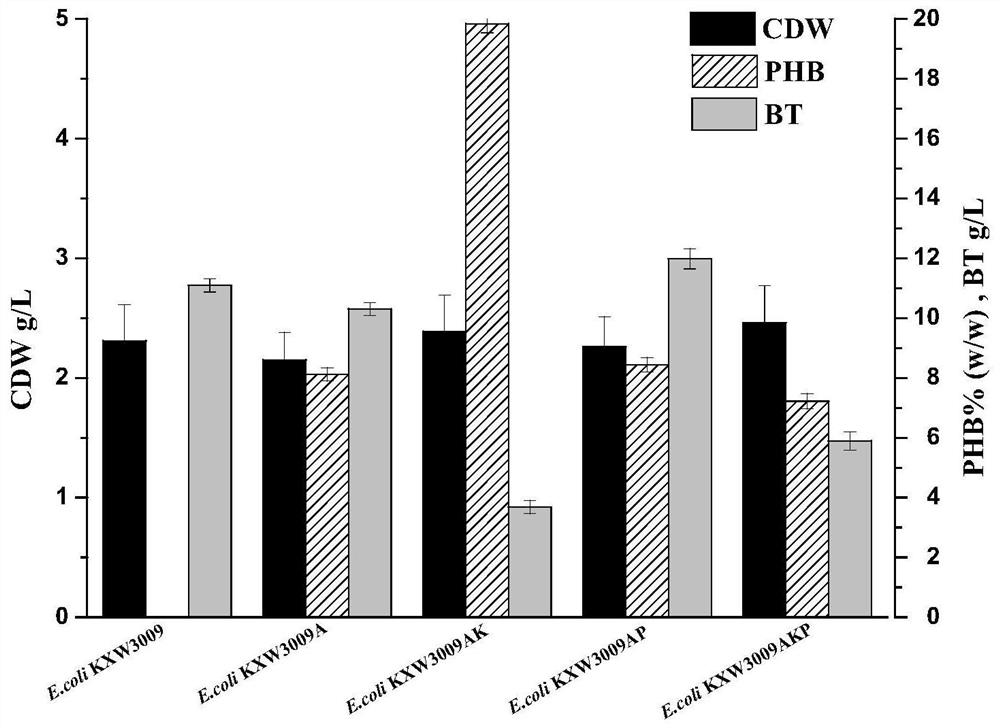 Method for co-production of D-1,2,4-butanetriol and PHB by metabolic modification of escherichia coli, and application