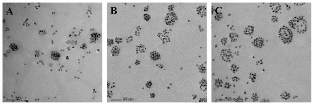 Preparation method and application of kit for simultaneously detecting various nafil substances based on novel multi-quantum dot-protein polymer probe