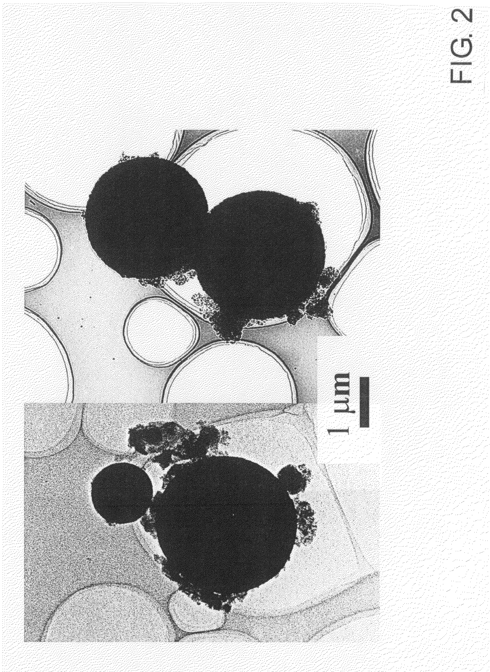 Semiconductor-Nanoparticle-Dispersed Small Glass Particles and Process for Preparing  the same