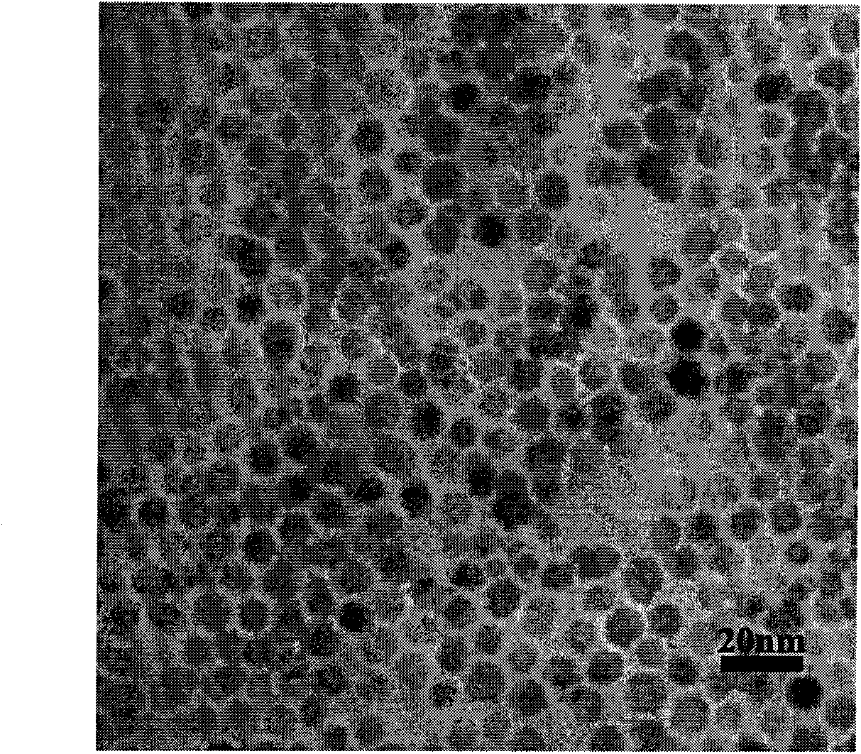 Magnetic nano-carrier with targeted hydrophobic drug delivery to tumor and preparation method thereof