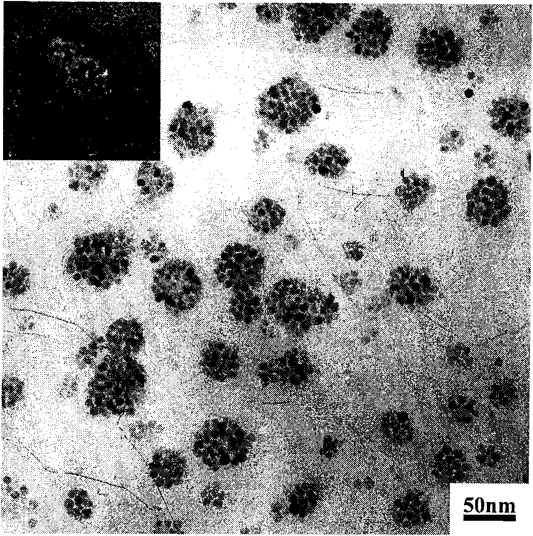 Magnetic nano-carrier with targeted hydrophobic drug delivery to tumor and preparation method thereof