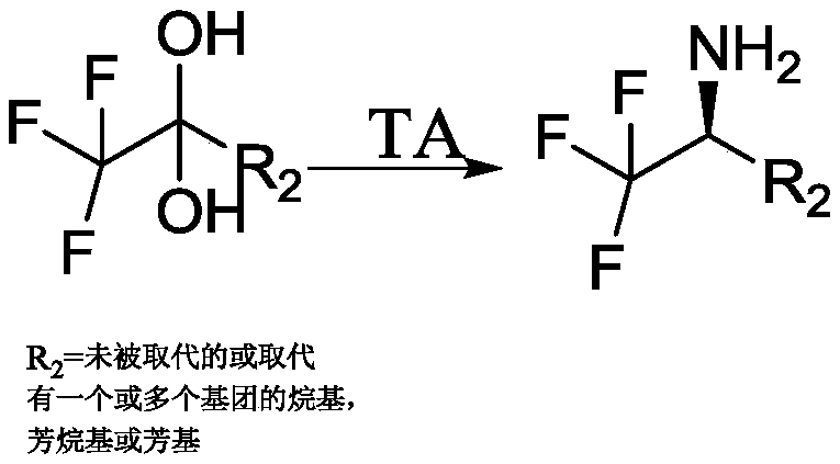 Transaminase mutant and application thereof